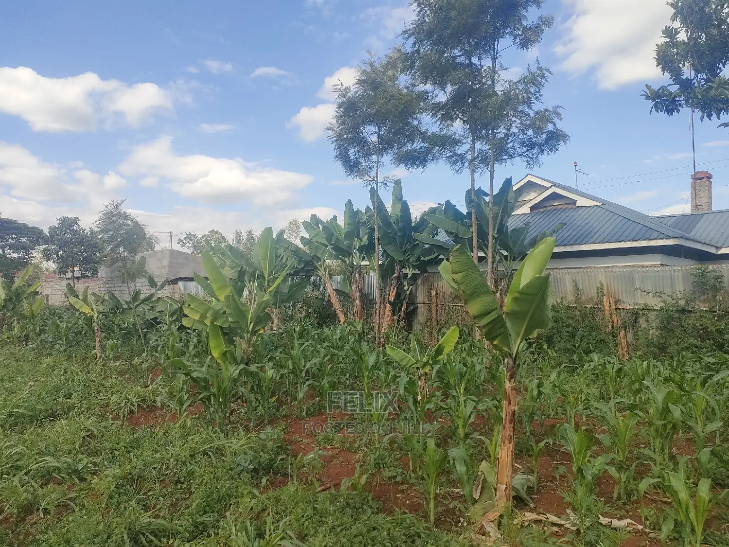 Nyeri/ Chorong'i 50/100 Plot in Nyeri Town