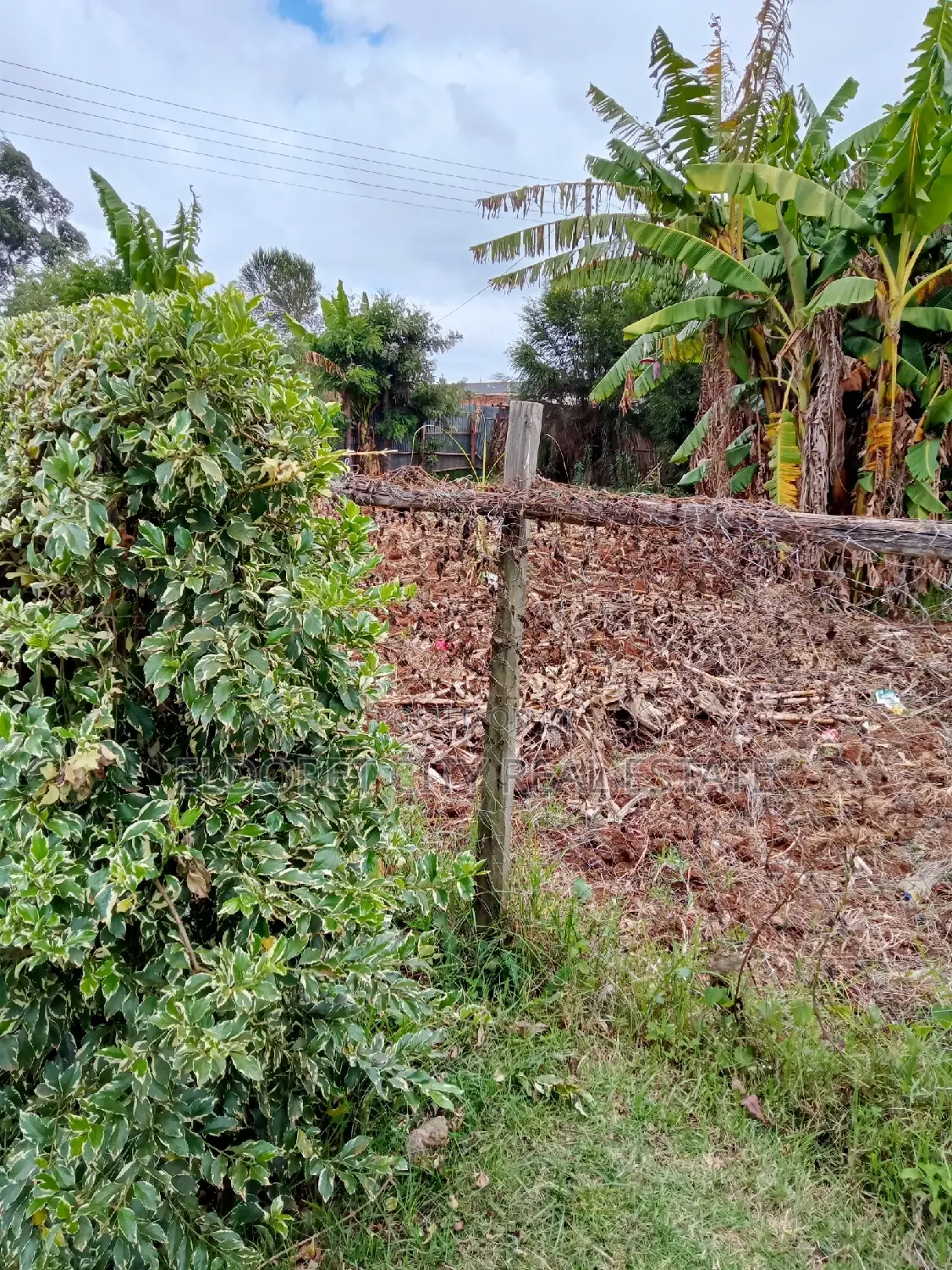 1/8 Plot Kimumu - Ideal for Rental or Flat Development Opportunity in Eldoret CBD