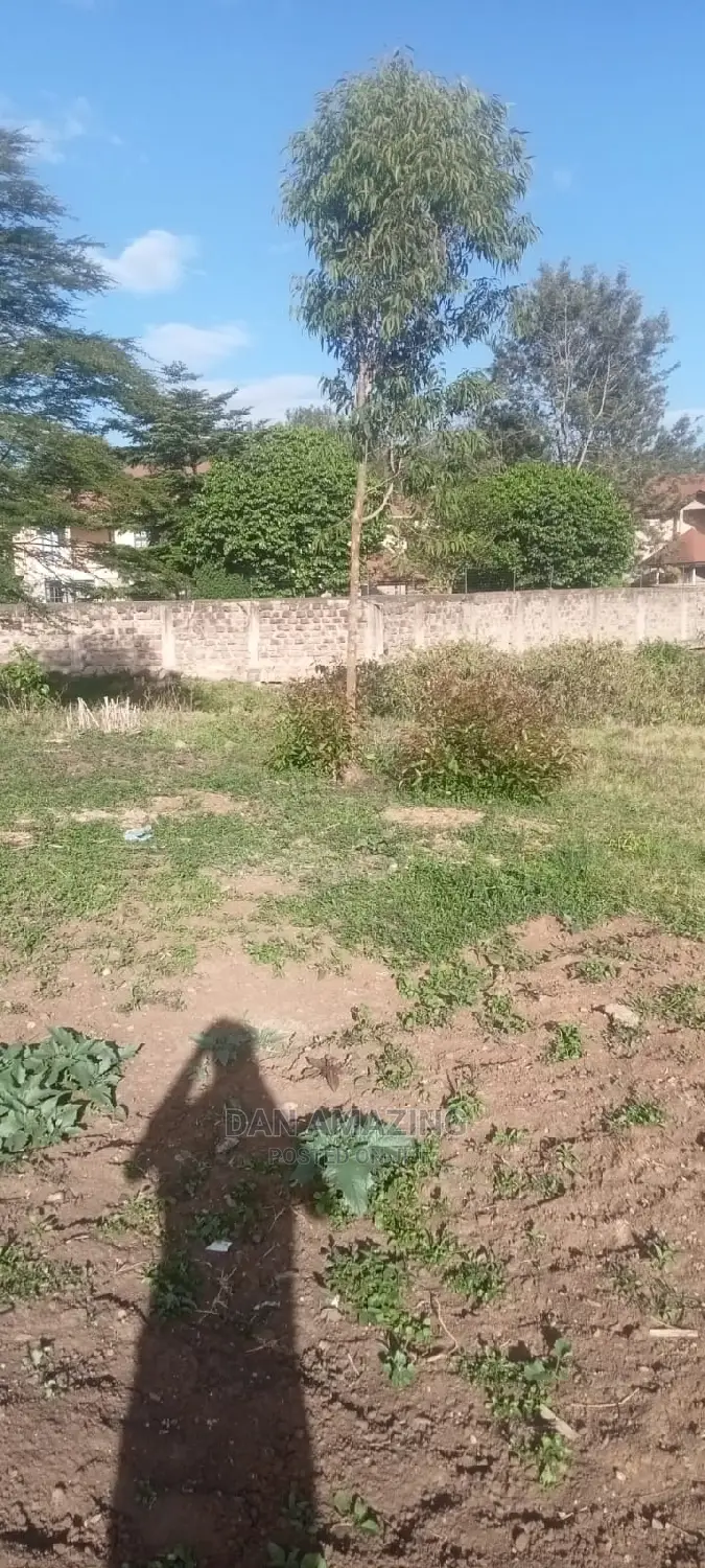 Half-Acre Land Sale in Bulbul Ngong: Your Dream Investment Awaits in Ebulbul