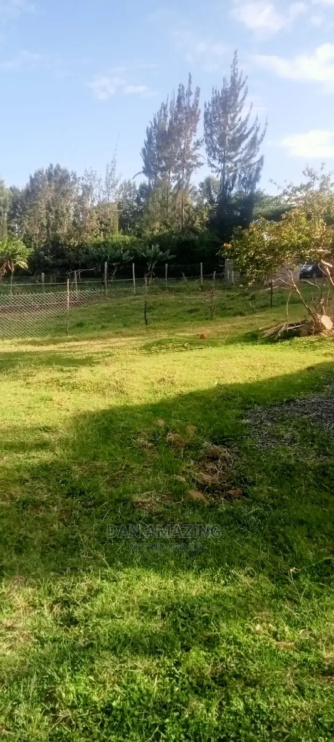 Half-Acre Land Sale in Bulbul Ngong: Your Dream Investment Awaits in Ebulbul