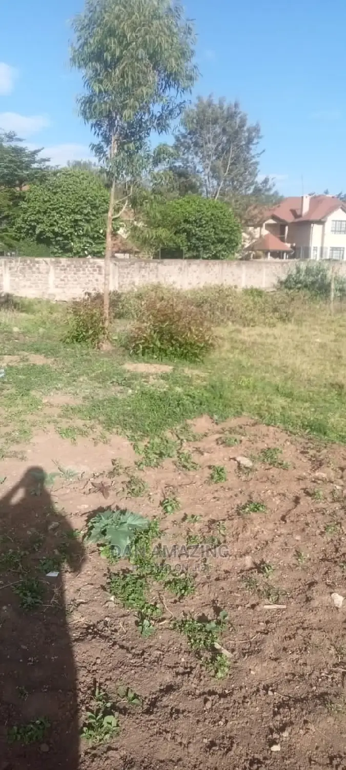 Half-Acre Land Sale in Bulbul Ngong: Your Dream Investment Awaits in Ebulbul