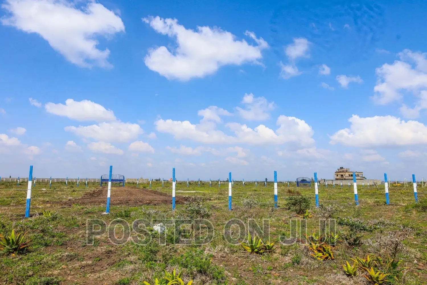 Affordable Plots in Ruiru Kamakis ^JO in Kamakis