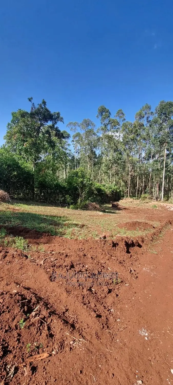 Quality Forest Line 1/8 Pieces - Bondeni, Multiple Variants in Ngong