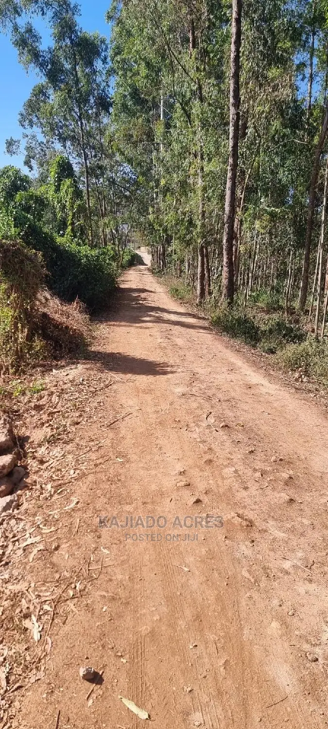 Quality Forest Line 1/8 Pieces - Bondeni, Multiple Variants in Ngong