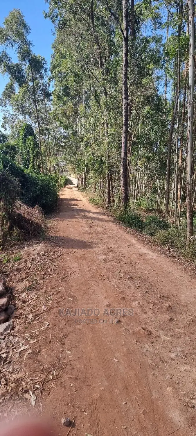 Quality Forest Line 1/8 Pieces - Bondeni, Multiple Variants in Ngong