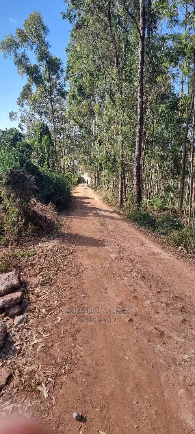 Quality Forest Line 1/8 Pieces - Bondeni, Multiple Variants in Ngong