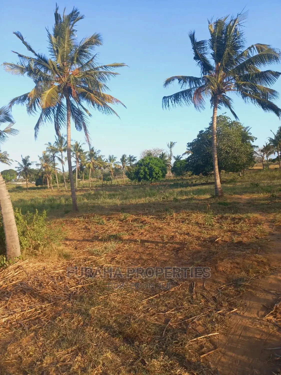 For Sale 3 Acre Kilifi Mavueni. in Kilifi South