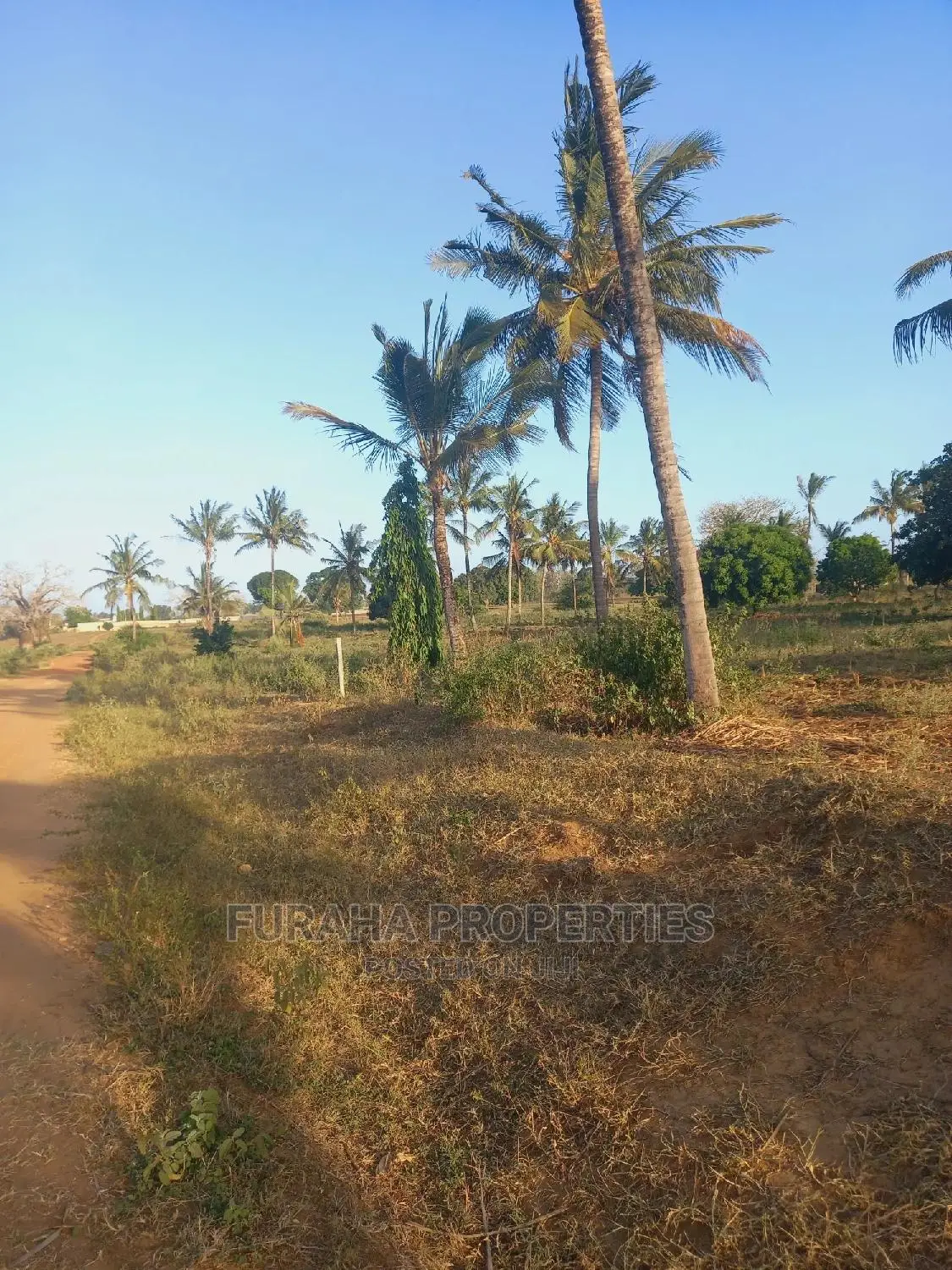 For Sale 3 Acre Kilifi Mavueni. in Kilifi South