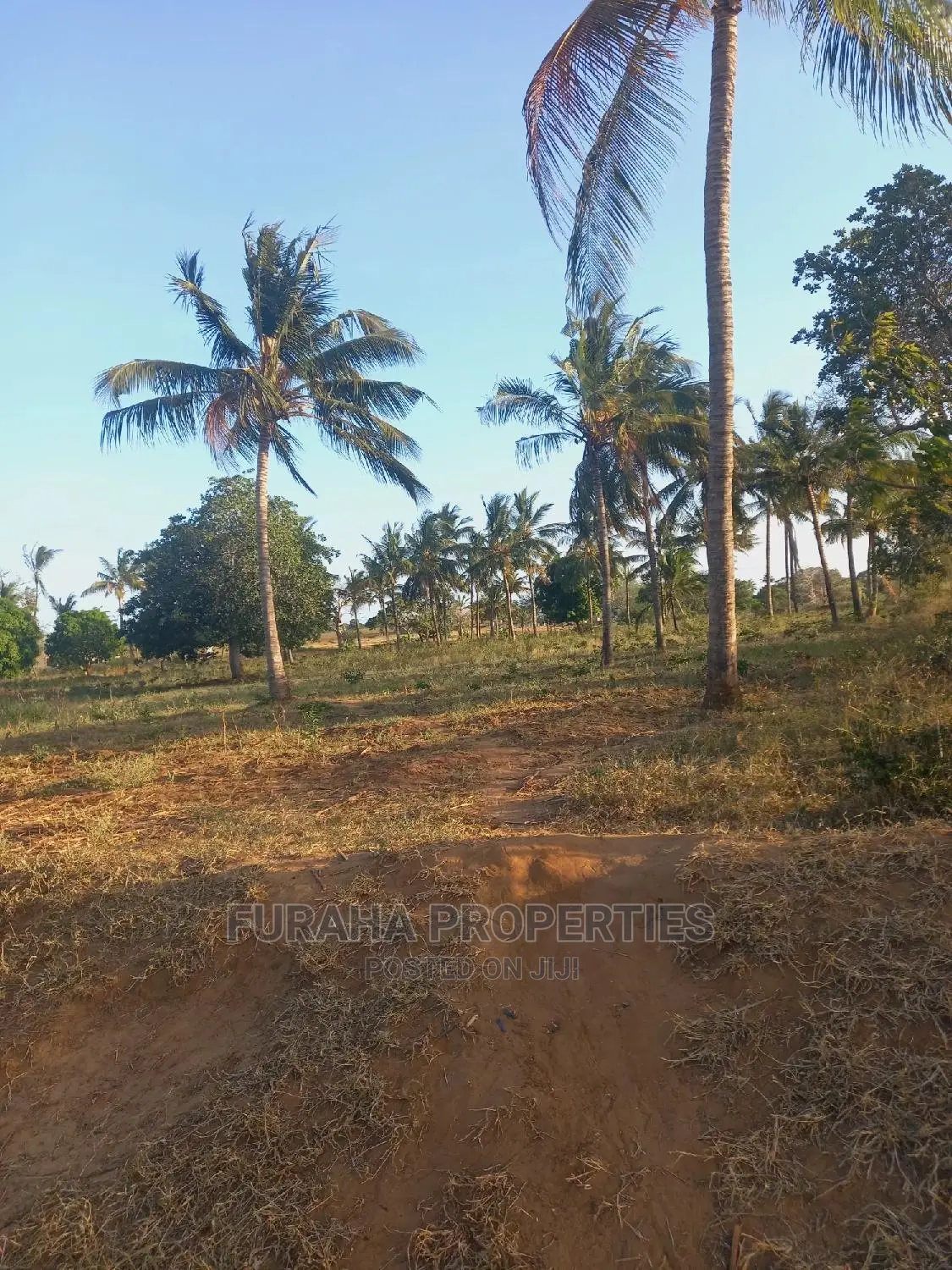 For Sale 3 Acre Kilifi Mavueni. in Kilifi South