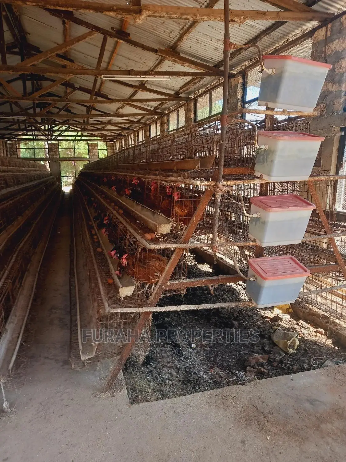 Malindi: 3-Acre Poultry Farm Available for Sale in Malindi