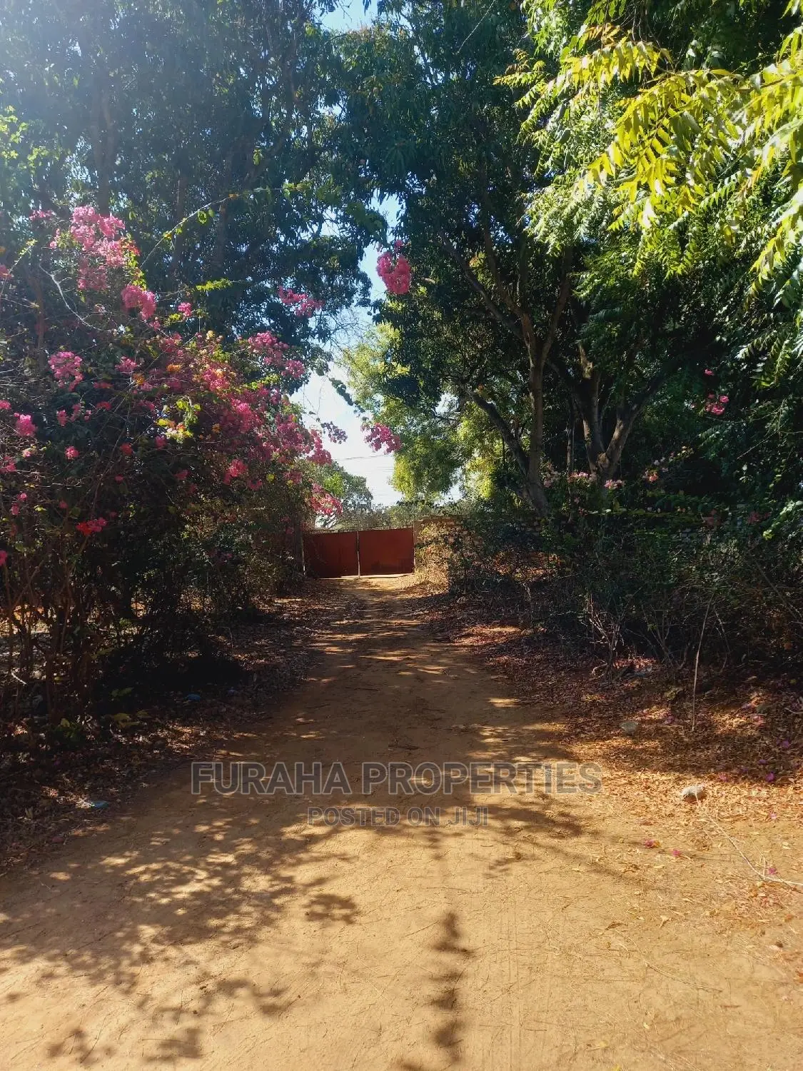 Malindi: 3-Acre Poultry Farm Available for Sale in Malindi