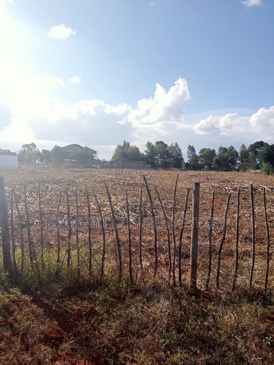 Affordable 1/4 Acre Plot in Kiplombe - 4km from CBD in Eldoret CBD