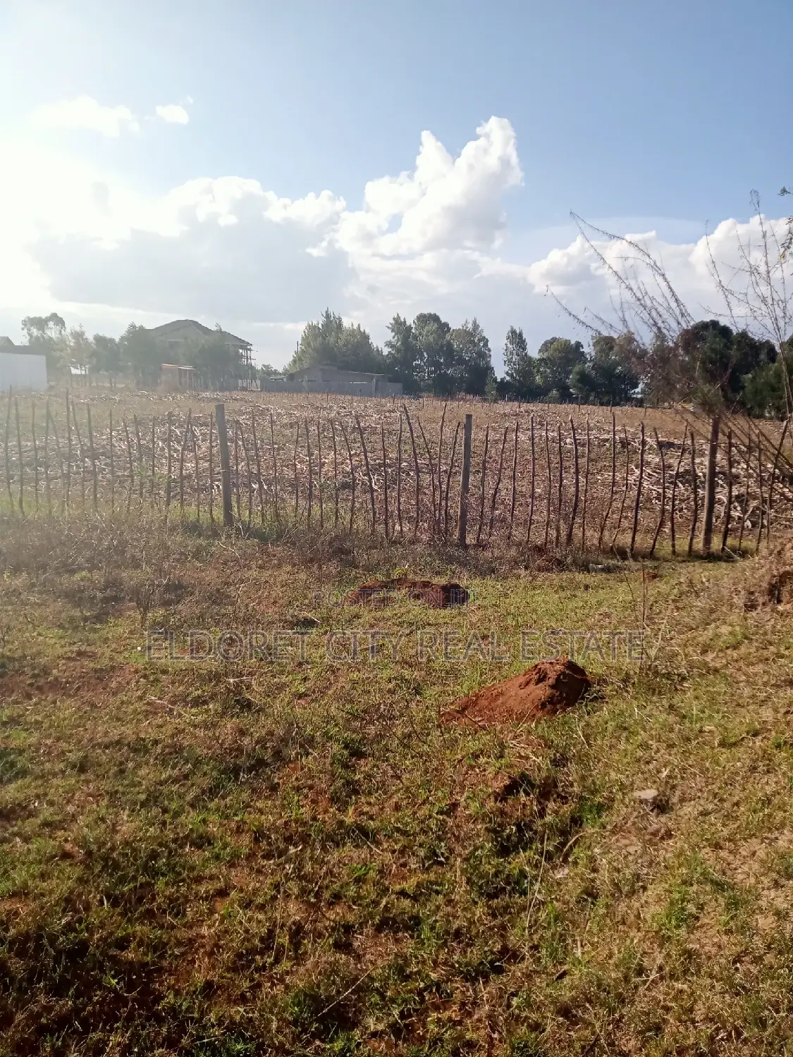 Affordable 1/4 Acre Plot in Kiplombe - 4km from CBD in Eldoret CBD