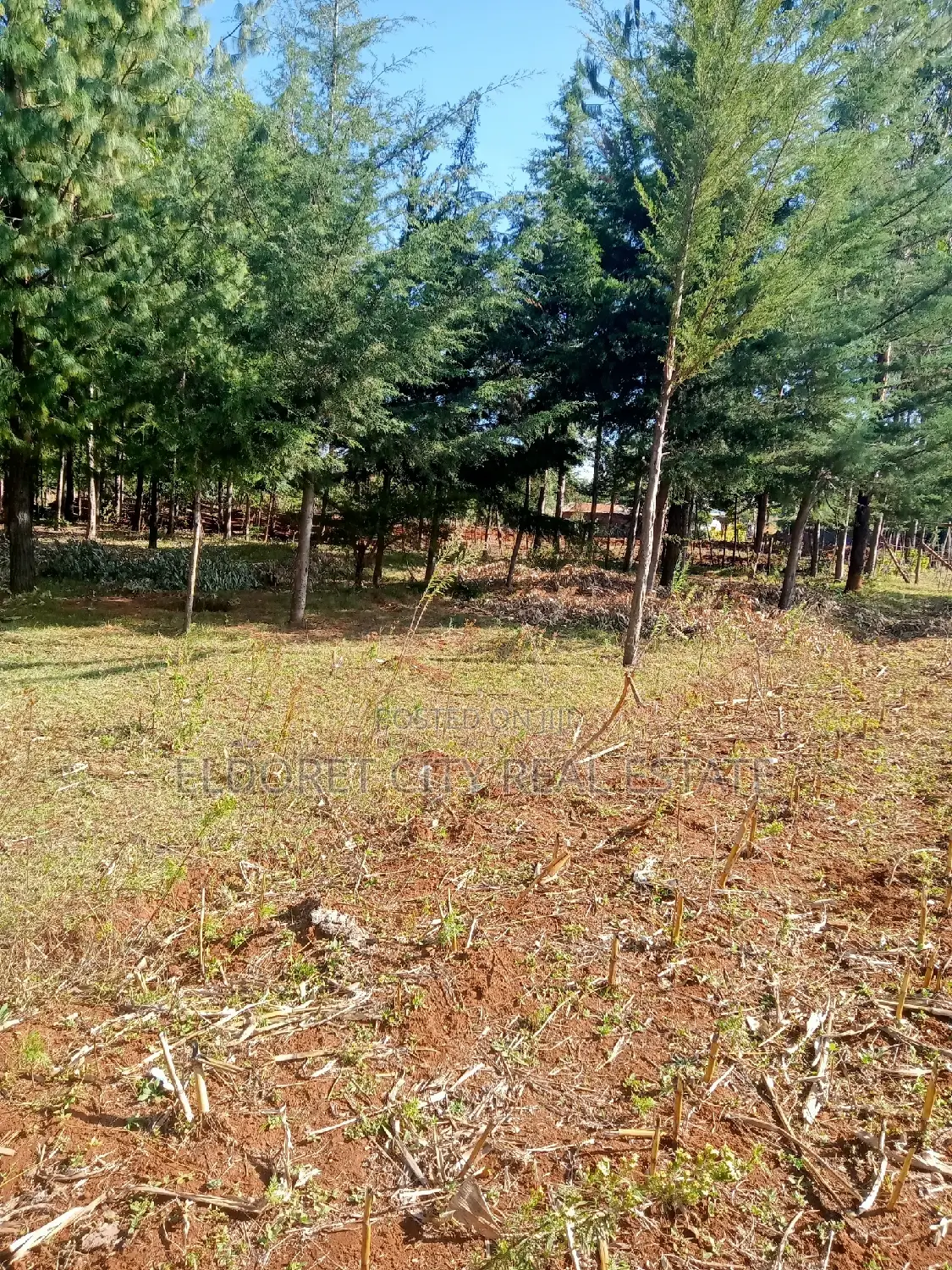 Kiplombe Land: One Acre Residential Plot - Ideal for Your New Home in Eldoret CBD