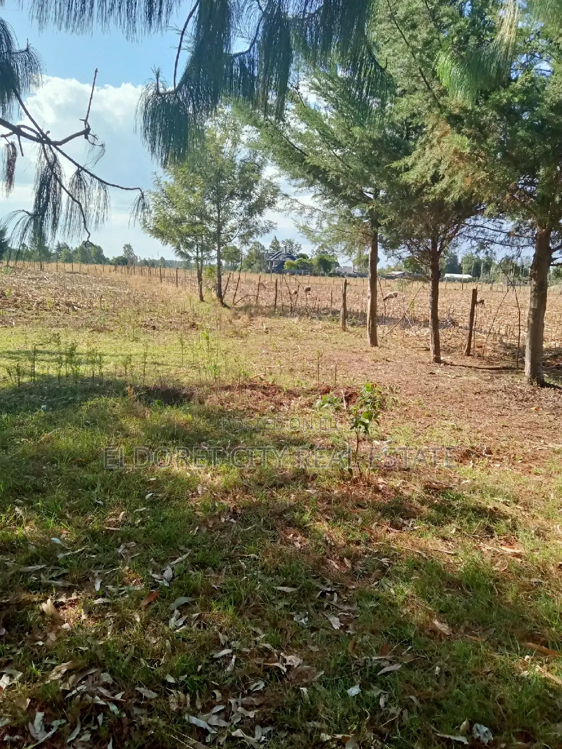 Kiplombe Land: One Acre Residential Plot - Ideal for Your New Home in Eldoret CBD