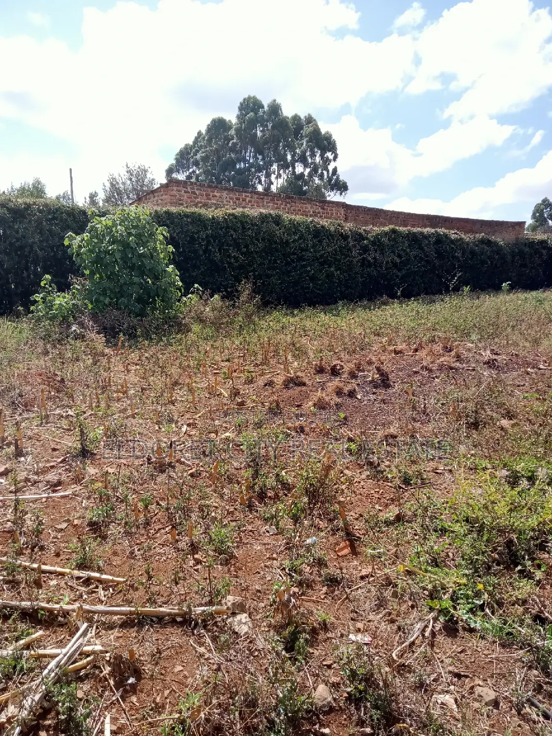 Title'd 1/4 Acre Plot in Sought-after Kimumu/Betterfarm - Real Estate Goldmine in Eldoret CBD
