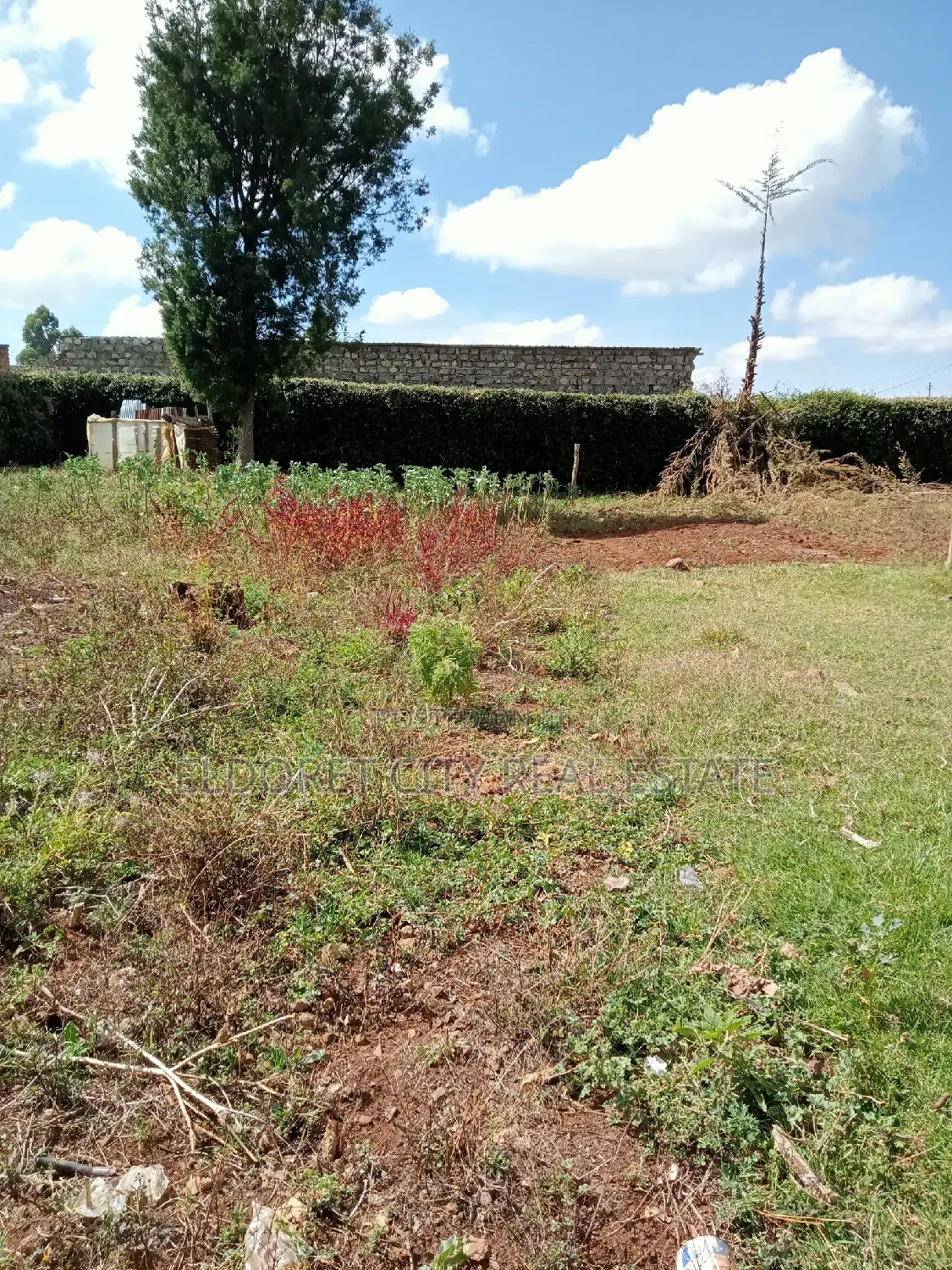 Title'd 1/4 Acre Plot in Sought-after Kimumu/Betterfarm - Real Estate Goldmine in Eldoret CBD