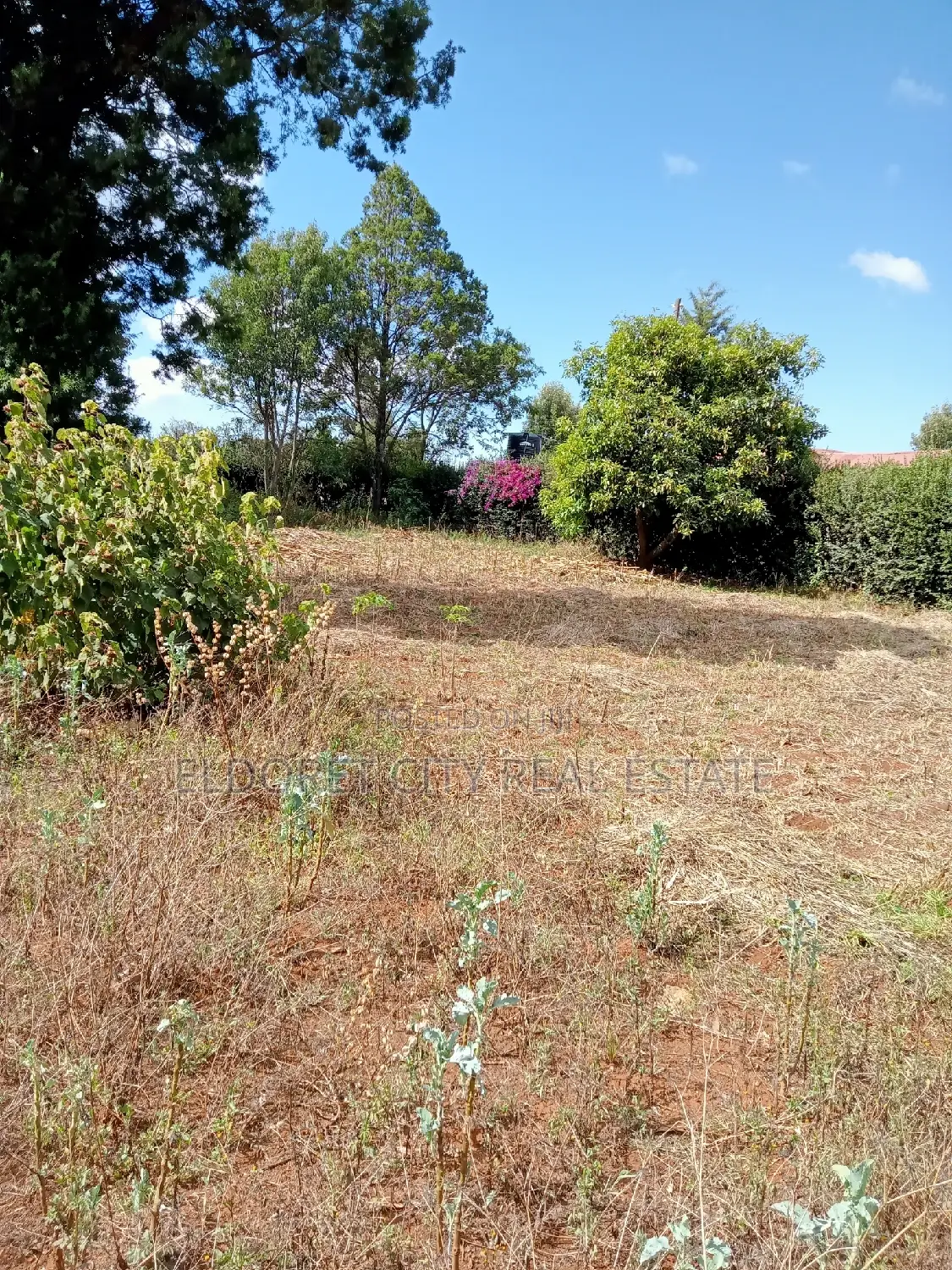 Rent a Productive 1/4 Plot in Kimumu/Betterfarm - Boost Your Business in Eldoret CBD