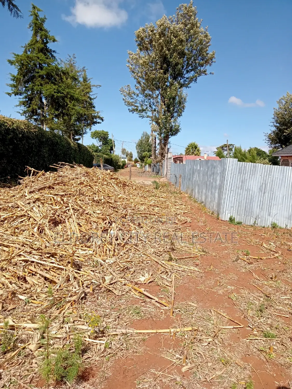 Rent a Productive 1/4 Plot in Kimumu/Betterfarm - Boost Your Business in Eldoret CBD