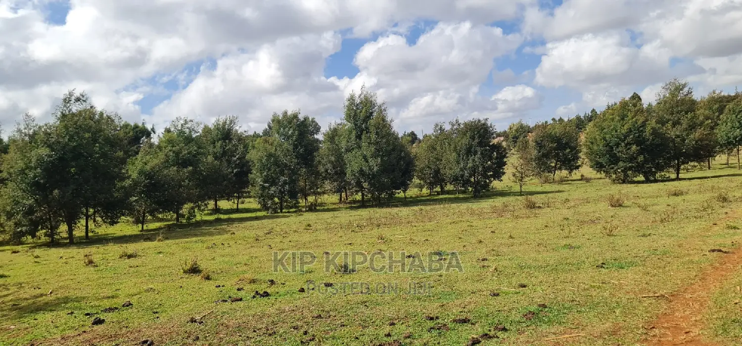 10-Acre Brewery Site in Chembulet Eldoret, Perfect for Ale Enthusiasts in Sergoit