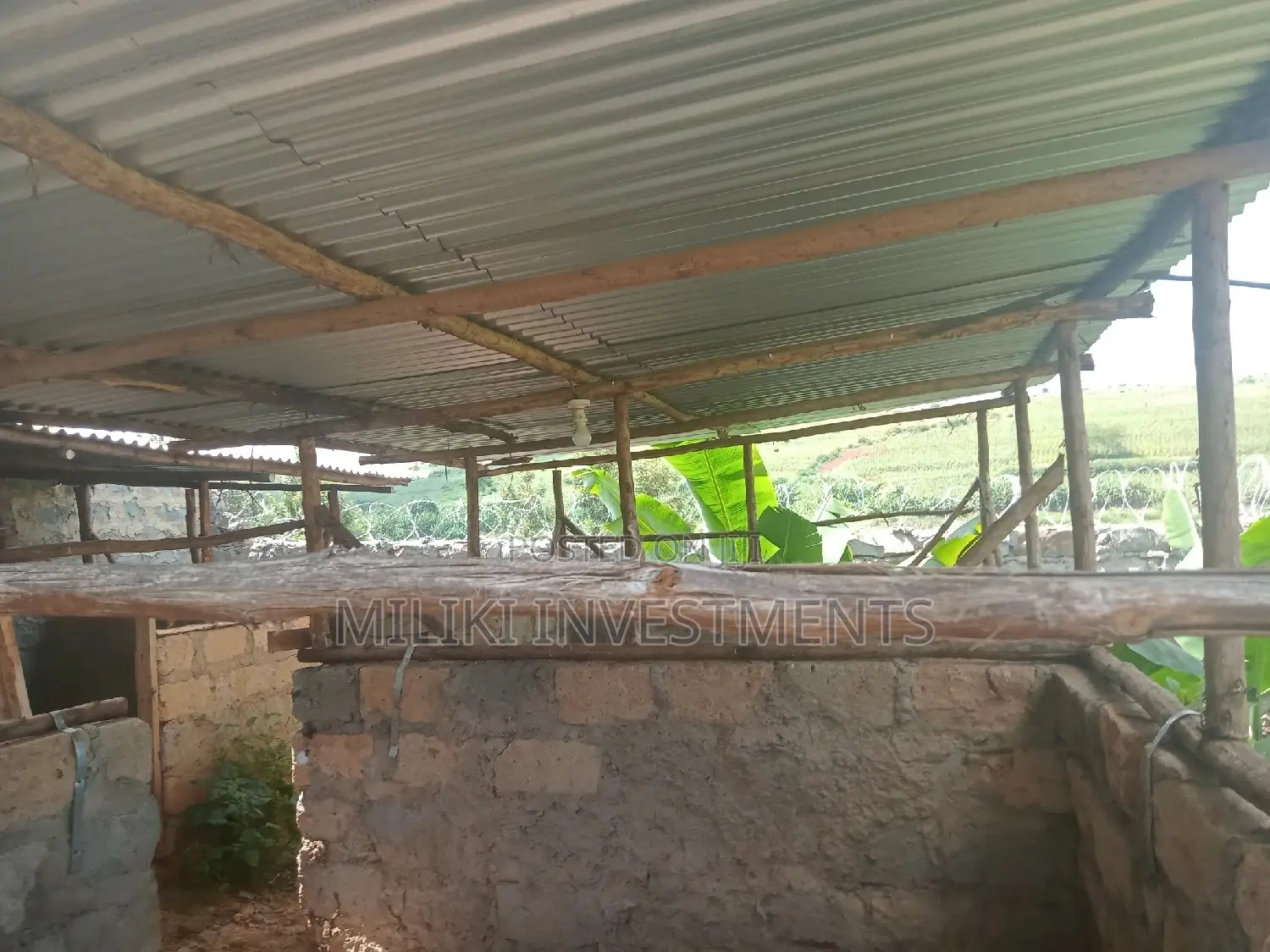 Kabati 60x100 Plot - Growth-Oriented Real Estate Investment in Kimorori/Wempa