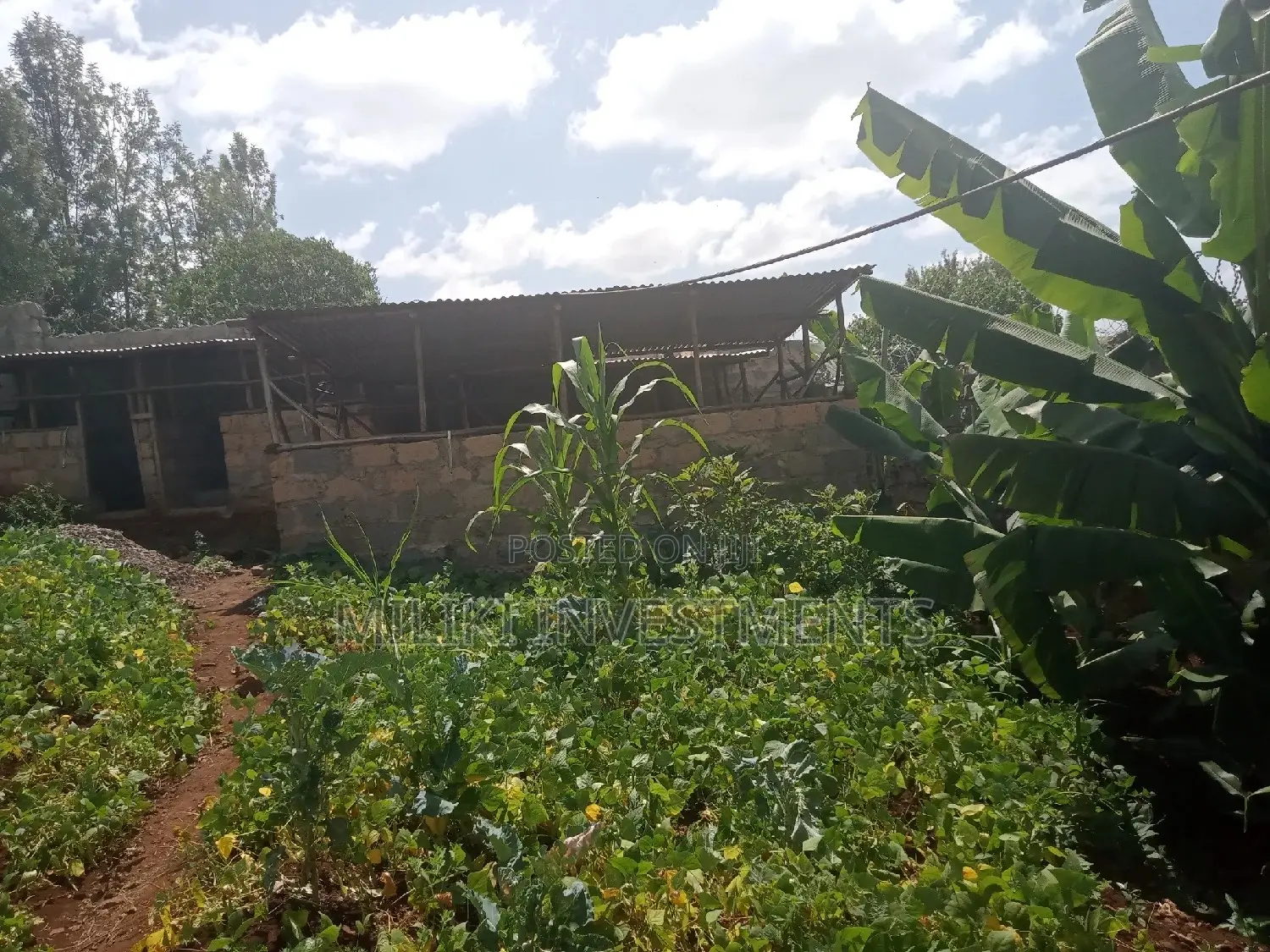 Kabati 60x100 Plot - Growth-Oriented Real Estate Investment in Kimorori/Wempa