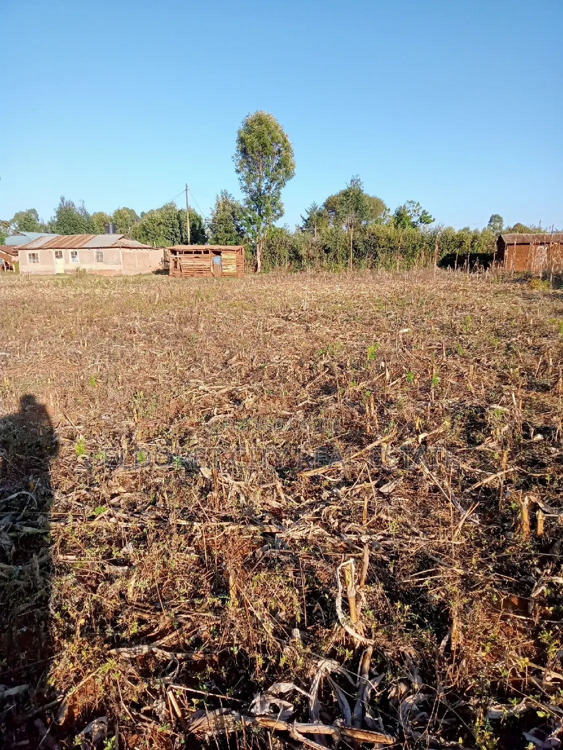 1/4 Plots Near Munyaka - Seize the Opportunity for a Lucrative Investment in Eldoret CBD