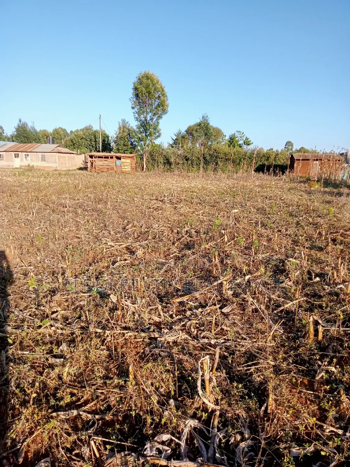 1/4 Plots Near Munyaka - Seize the Opportunity for a Lucrative Investment in Eldoret CBD