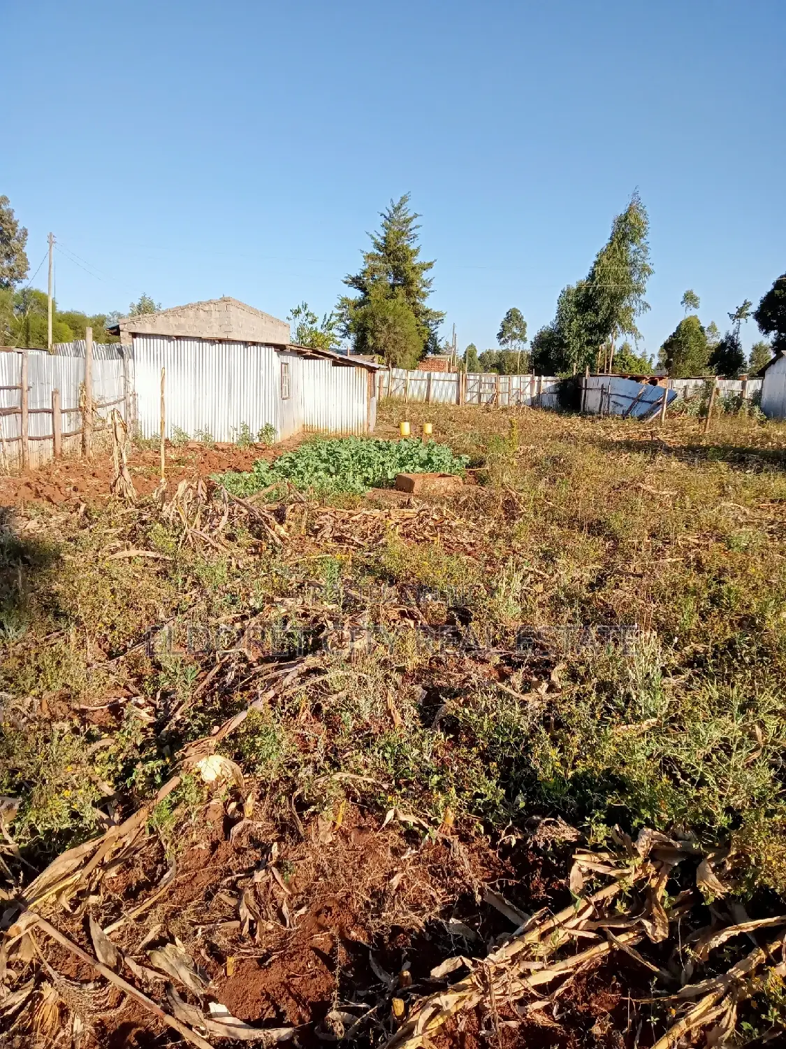 Spacious 1/4 Plot in Chebarus Kimumu - Ready to Build Your Dream Home in Eldoret CBD