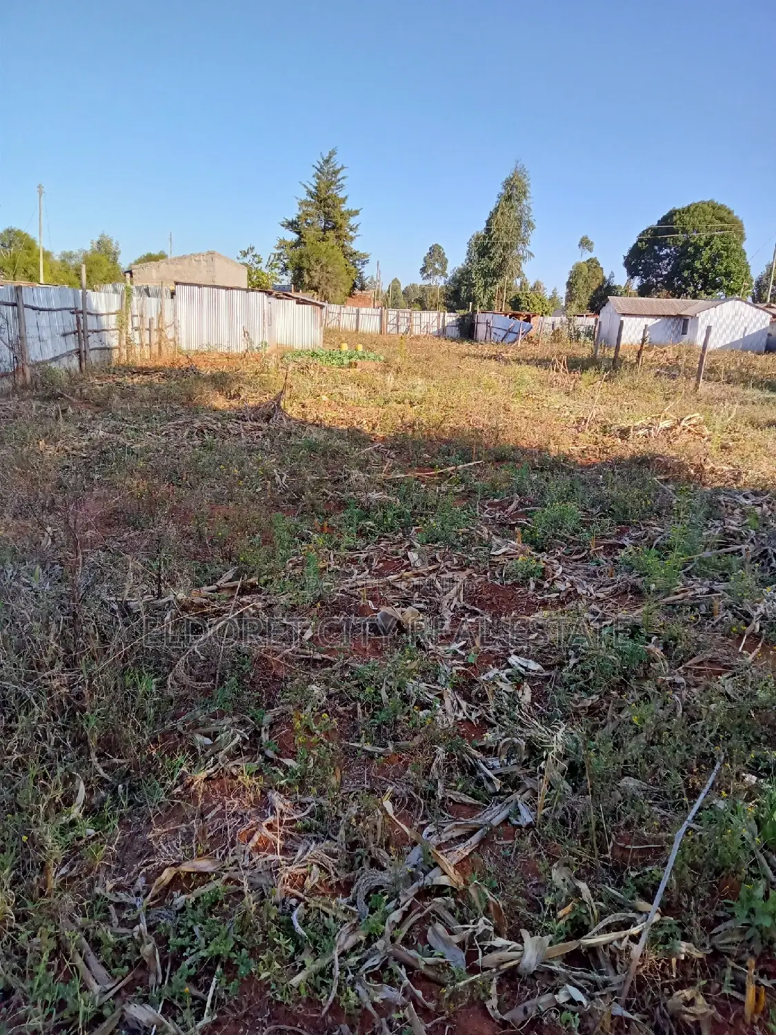 Spacious 1/4 Plot in Chebarus Kimumu - Ready to Build Your Dream Home in Eldoret CBD