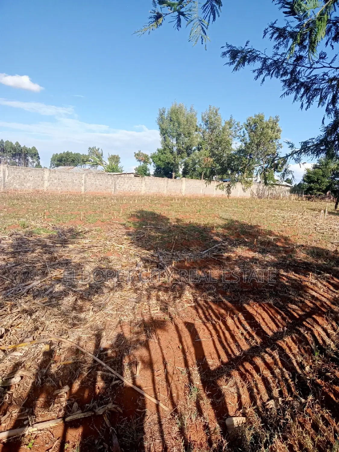 Affordable 1/4 Plot in Kiplombe with Title - Perfect Investment Opportunity in Eldoret CBD