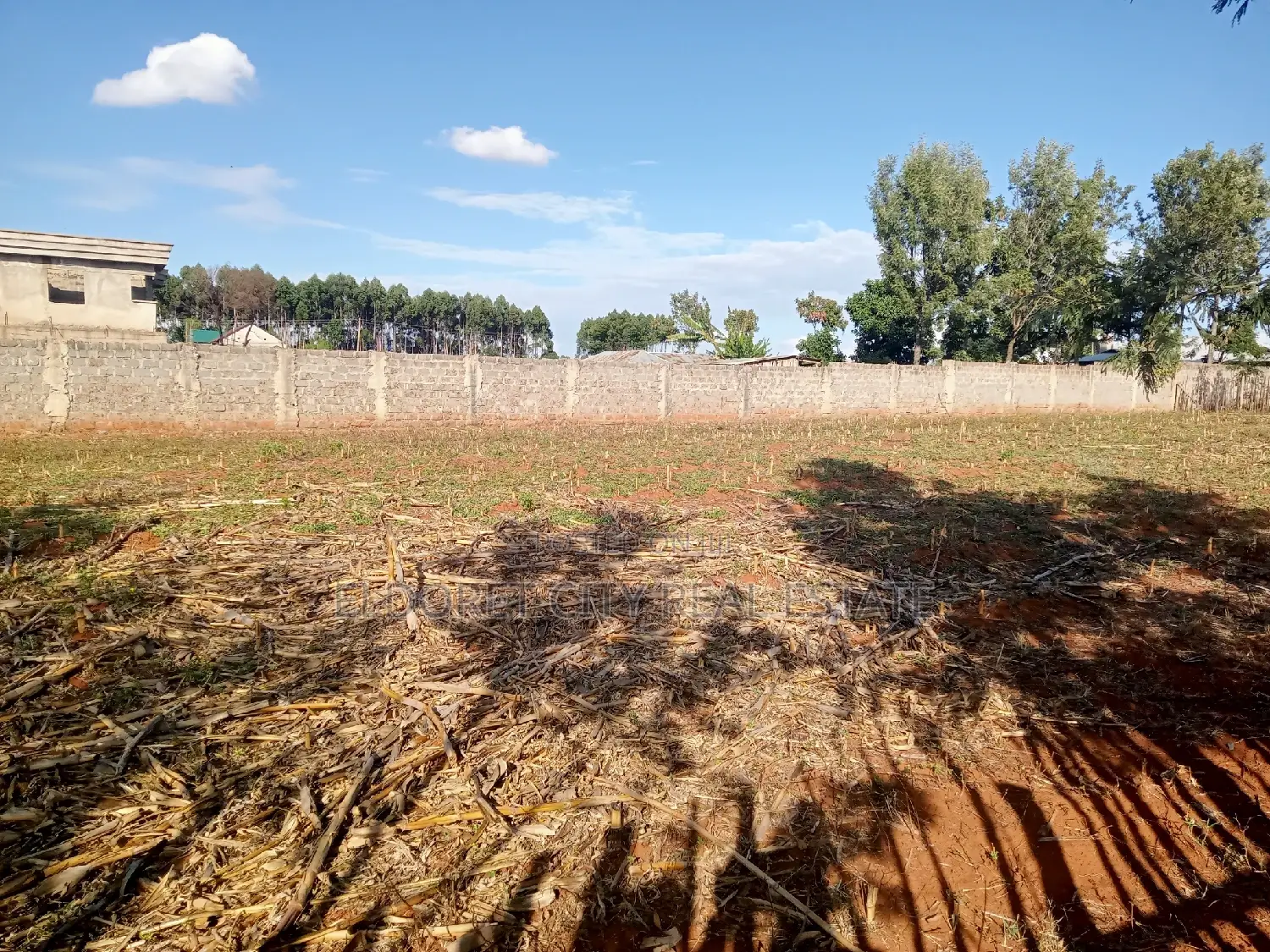 Affordable 1/4 Plot in Kiplombe with Title - Perfect Investment Opportunity in Eldoret CBD