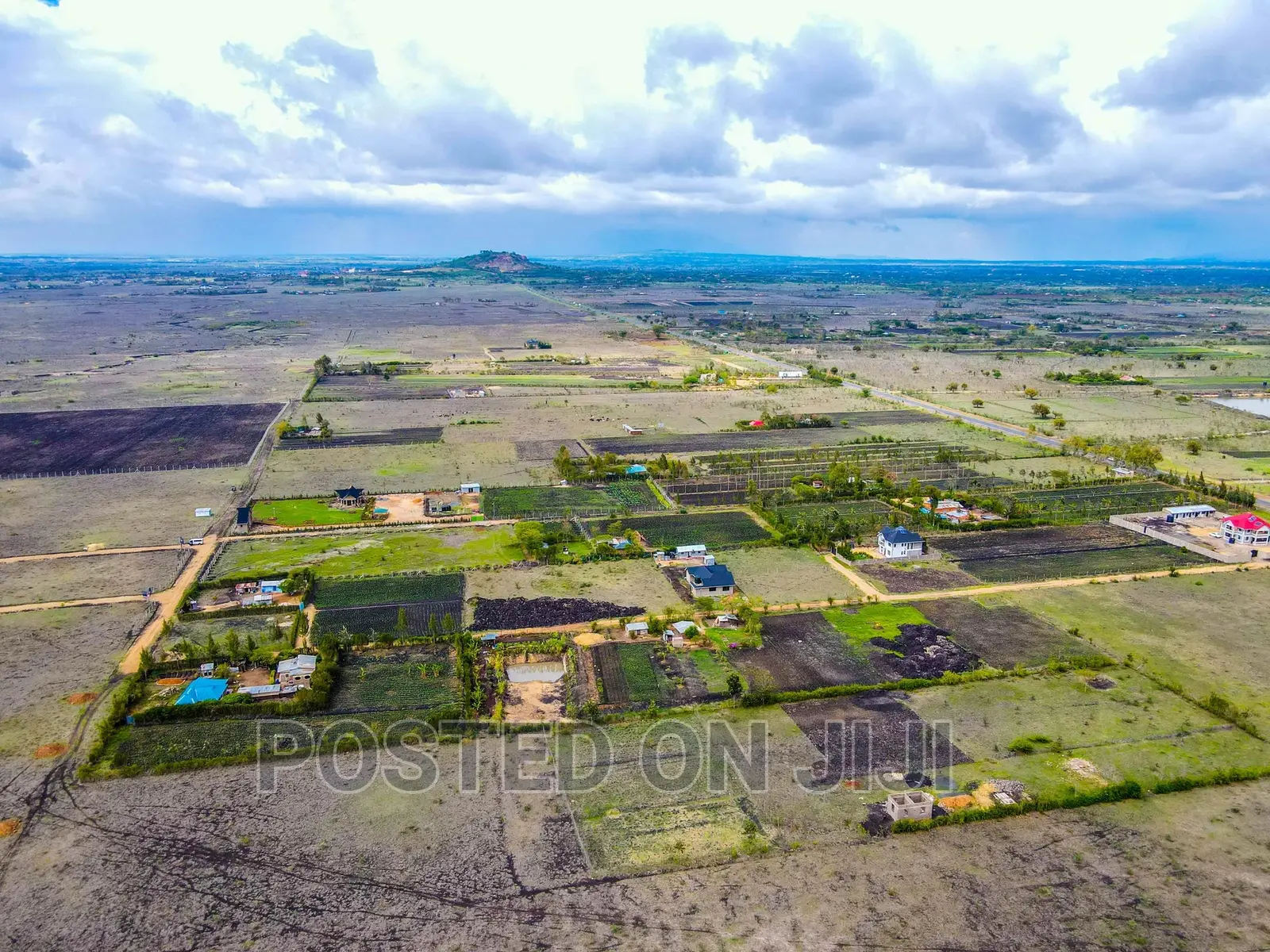 Affordable Prime Plots in Malaa