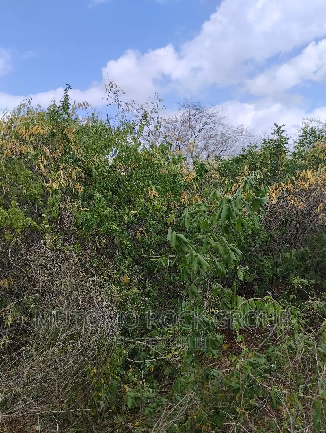 130acres for Sale With Title Deed in Mutomo