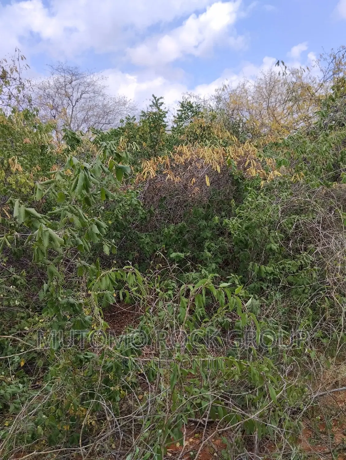 130acres for Sale With Title Deed in Mutomo