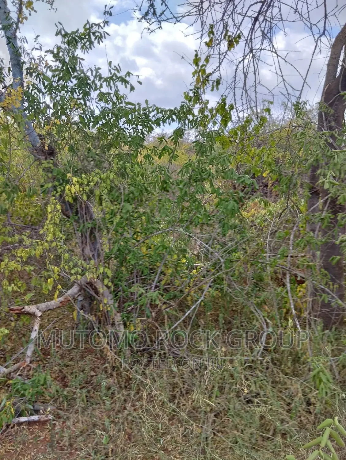 130acres for Sale With Title Deed in Mutomo