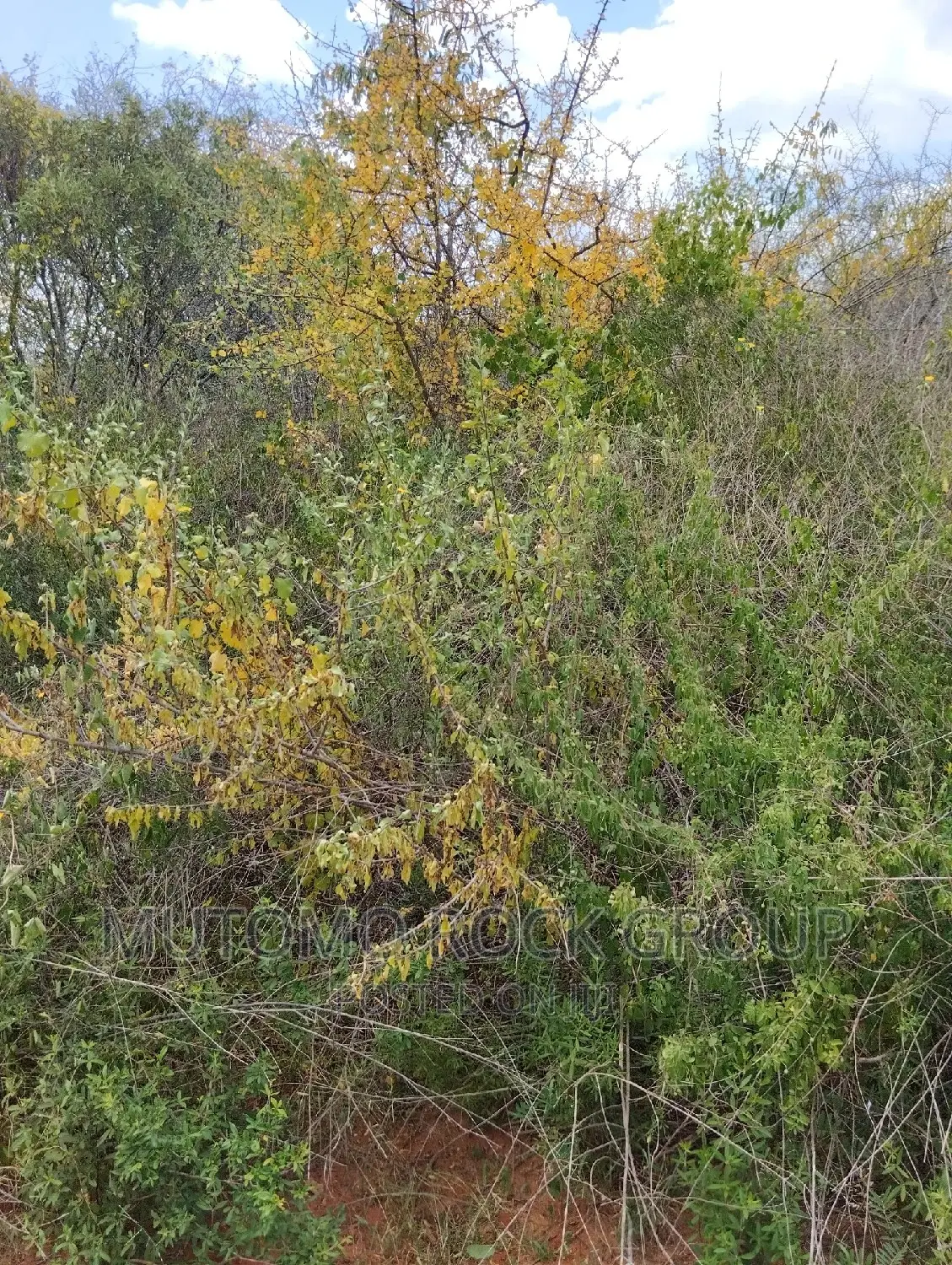 130acres for Sale With Title Deed in Mutomo