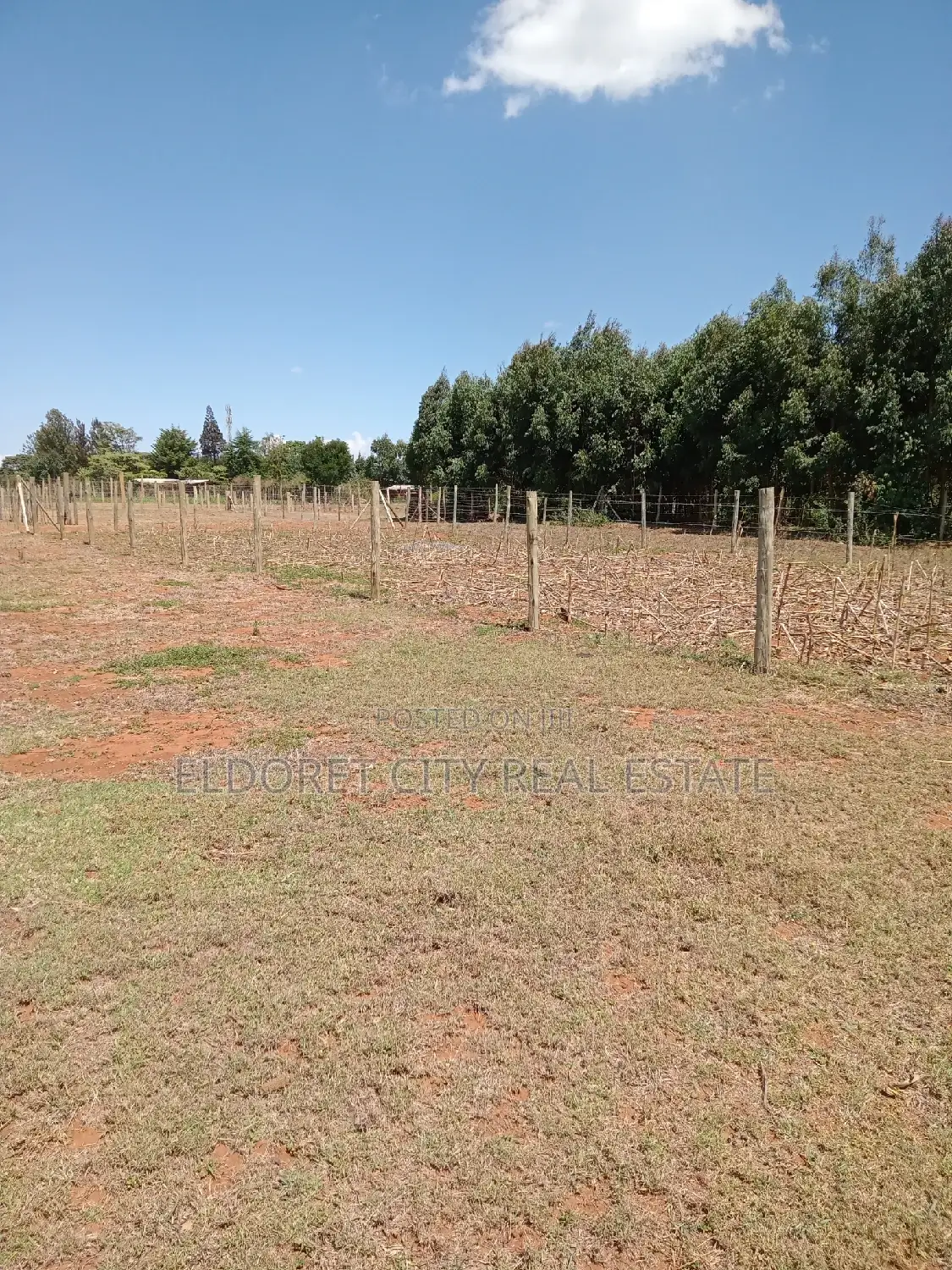 Nyamumbi 1/8 Acre Land for Sale - Secure Your Investment Today in Eldoret CBD