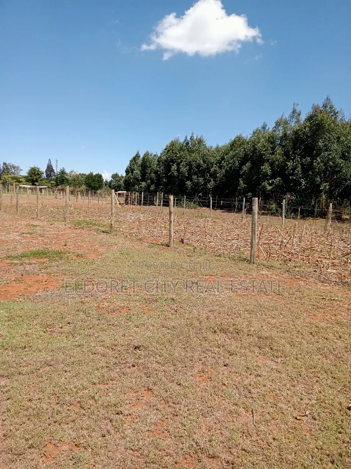 Nyamumbi 1/8 Acre Land for Sale - Secure Your Investment Today in Eldoret CBD