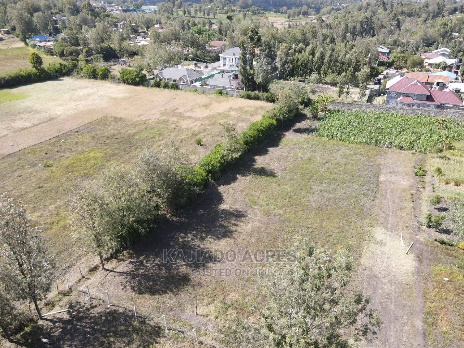 1/4 Acre Paradise in Matasia, Memusi Road at 7m in Matasia