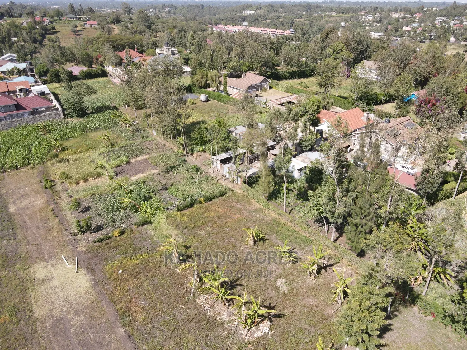1/4 Acre Paradise in Matasia, Memusi Road at 7m in Matasia