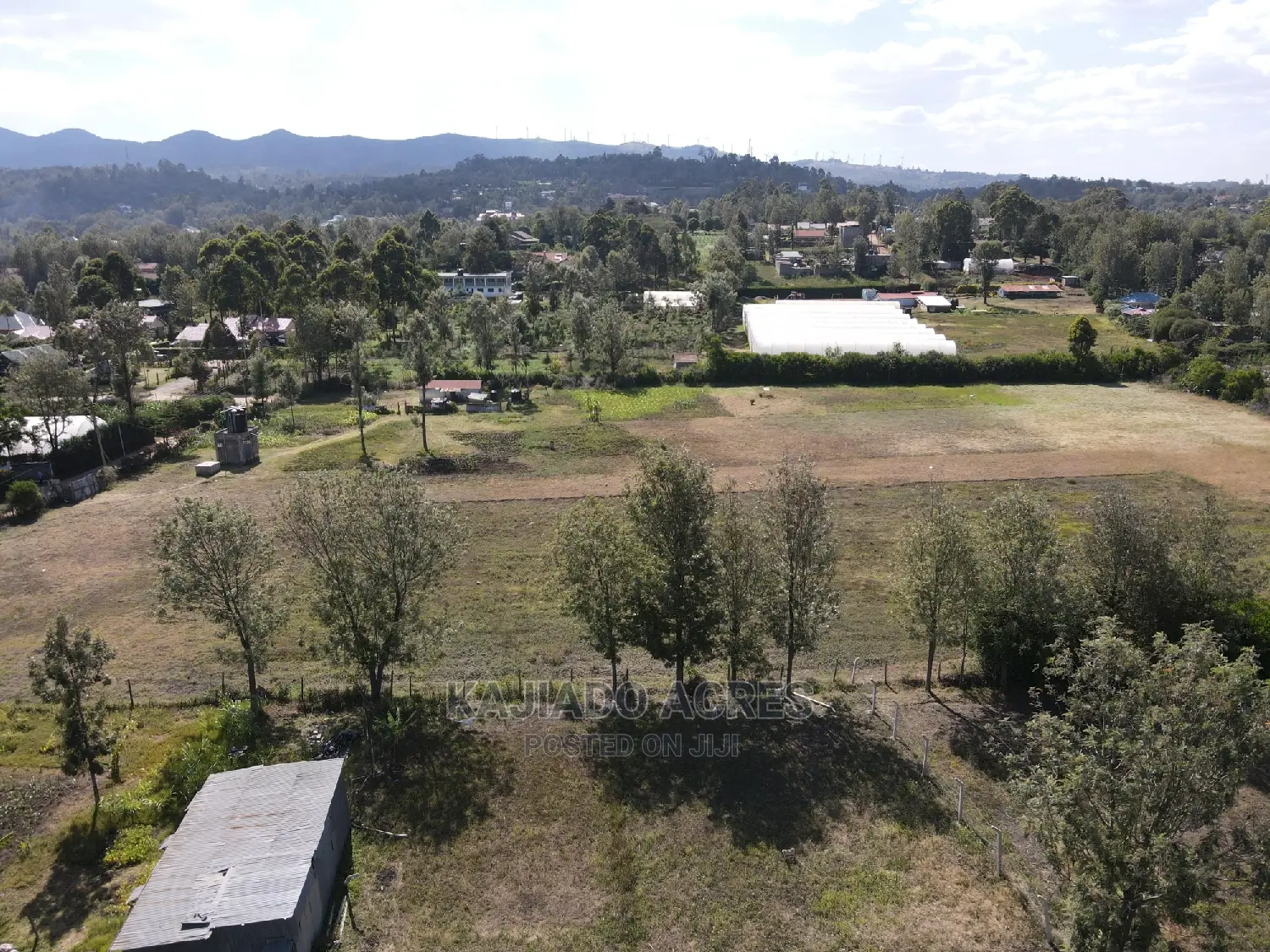 1/4 Acre Paradise in Matasia, Memusi Road at 7m in Matasia