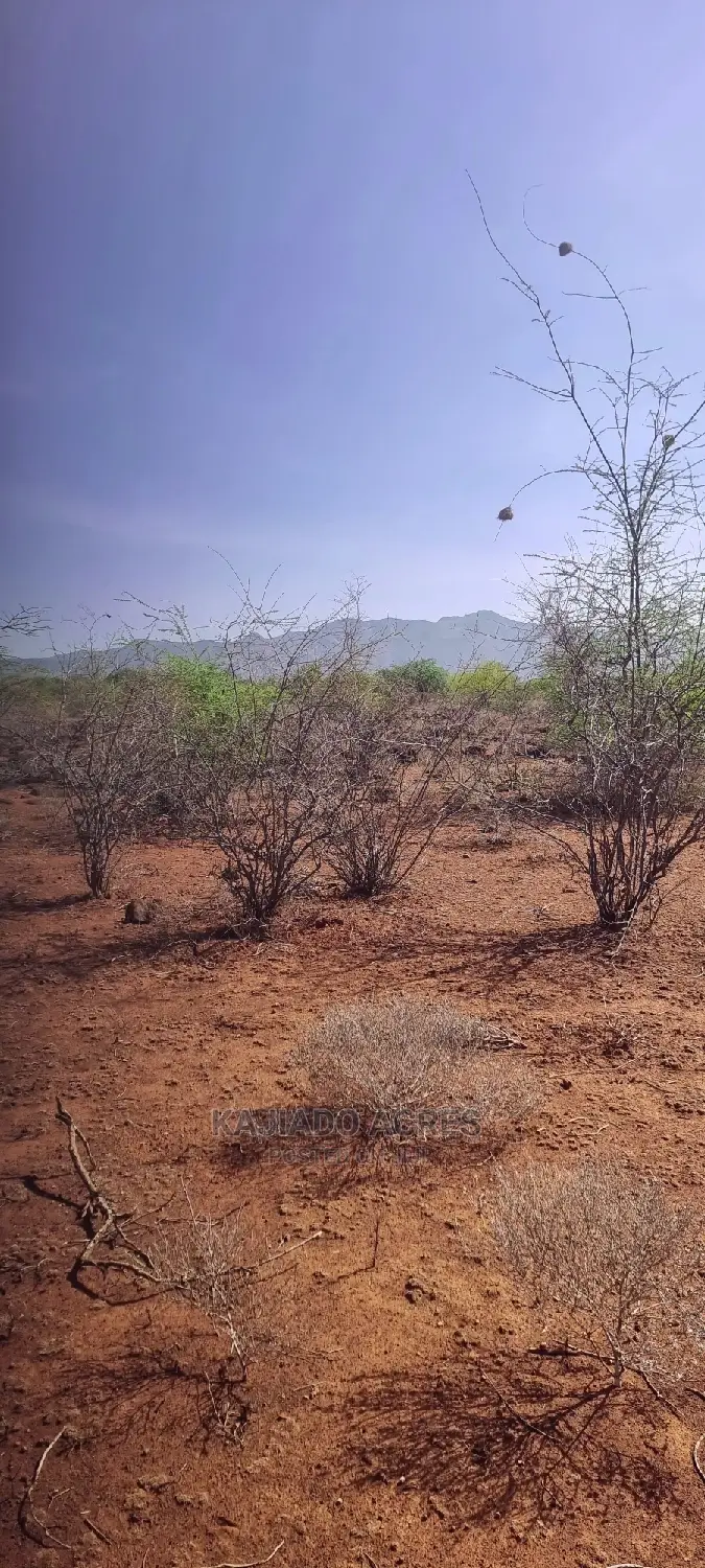Stunning 25-Acre Cliffside Property in Tinga, Perth for $550,000 in Magadi