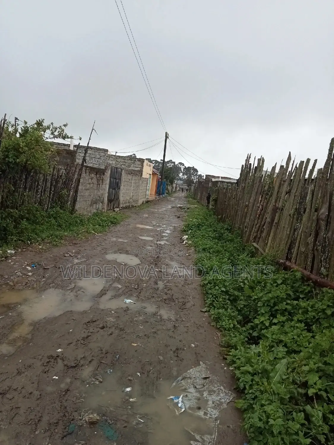 Sale of Land: Magumu Kinangop - Secure Your Dream Property Now in Magumu