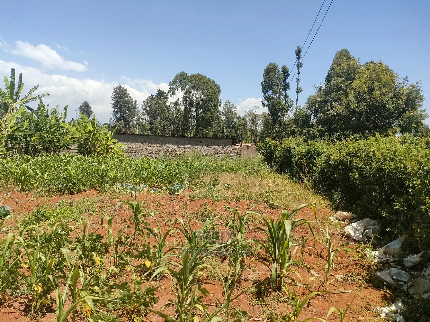 Karatina / Mwanda 50/100 in Karatina Town
