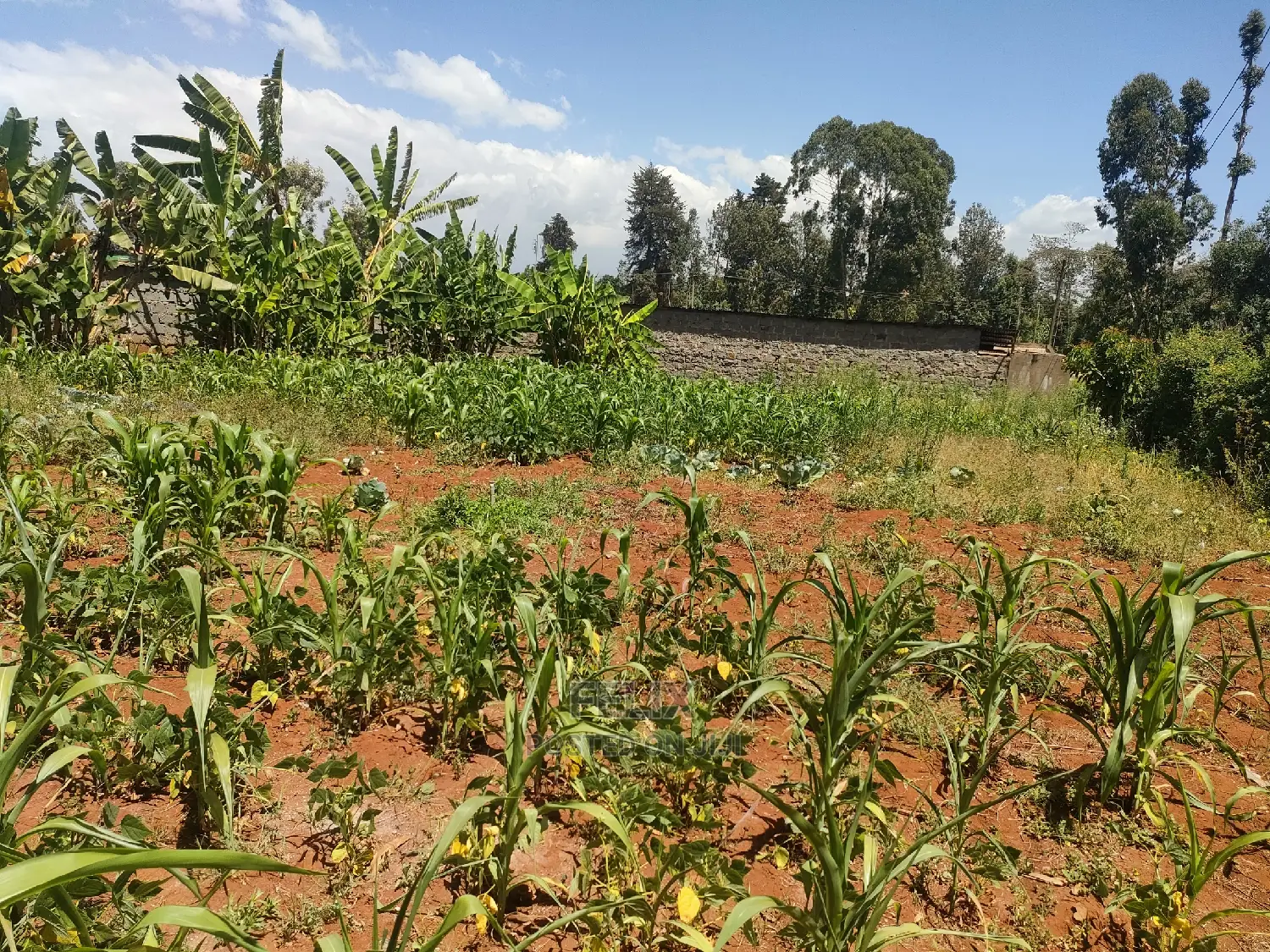 Karatina / Mwanda 50/100 in Karatina Town