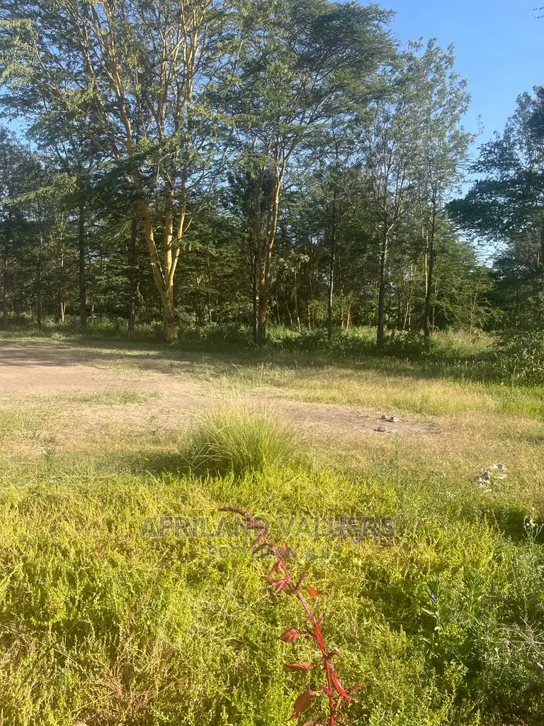 Prime 1/2 Acre Plot for Sale in Karen - Seize the Opportunity Today! in Hardy