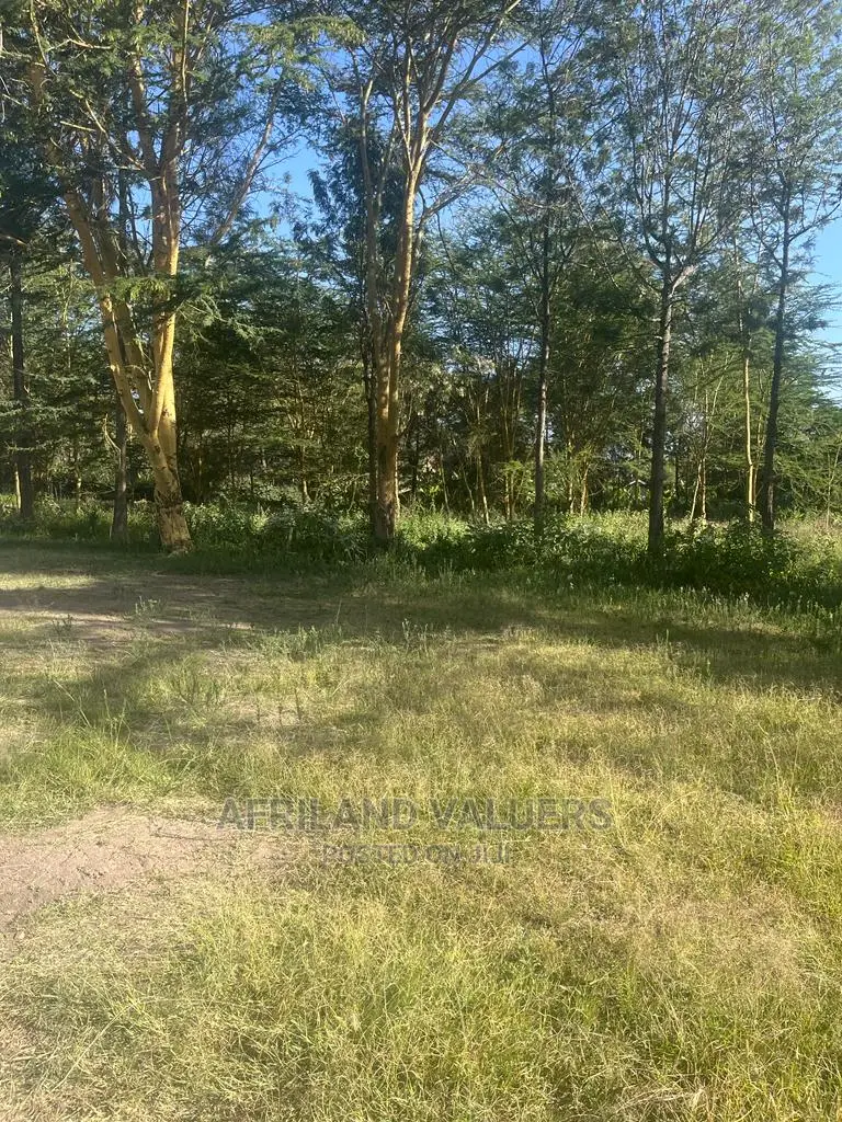 Prime 1/2 Acre Plot for Sale in Karen - Seize the Opportunity Today! in Hardy