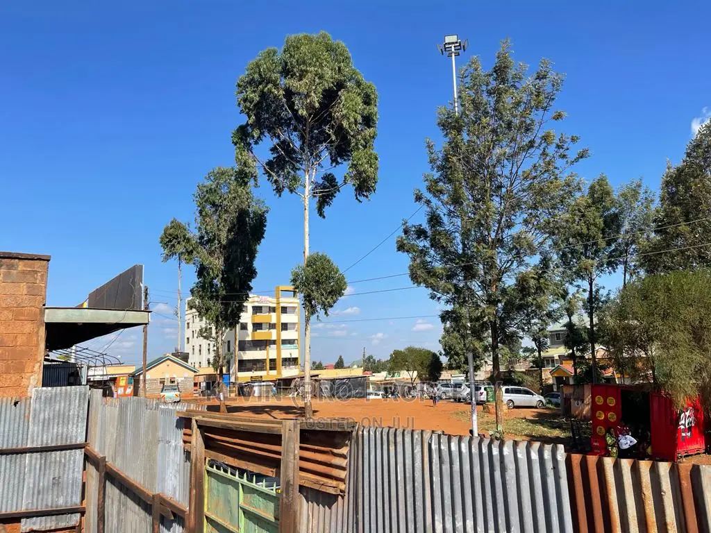 Kikuyu's Thogoto Shopping Center: Available Commercial Land for Sale in Thogoto