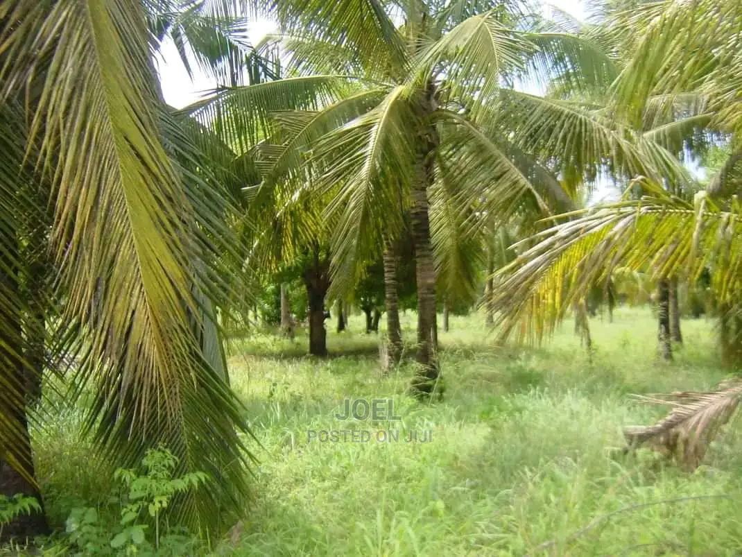 Malindi 18 Acres Land with Ready Title Deed - Exclusive Offer in Town Centre